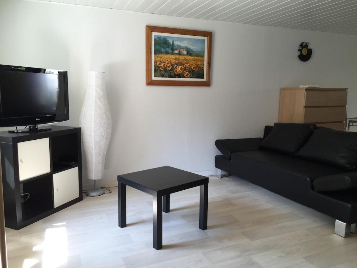 Appartement Proche Colmar Soultzbach les Bains Екстер'єр фото